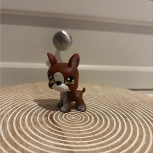 Littlest Pet Shop Boston Terrier
